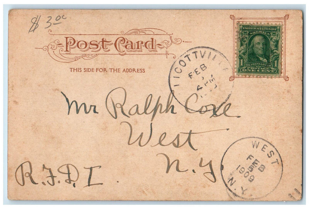 1909 Oliver W. Jr. In The Harness Ostrich Jacksonville Florida FL Postcard