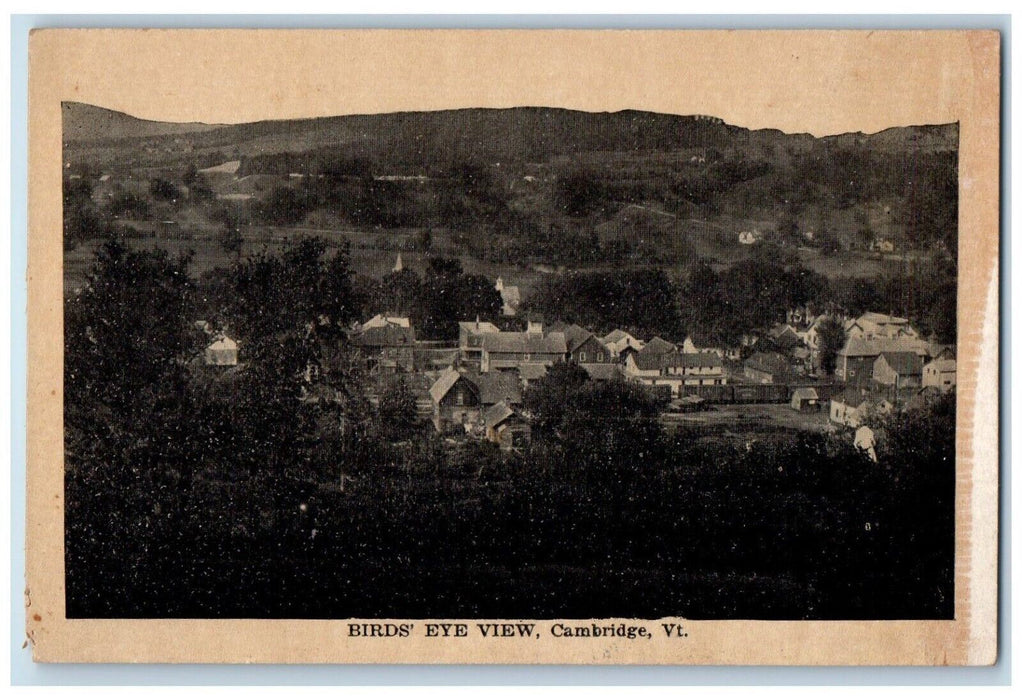 1910 Birds Eye View Cambridge Trees Vermont VT Vintage Antique Unposted Postcard