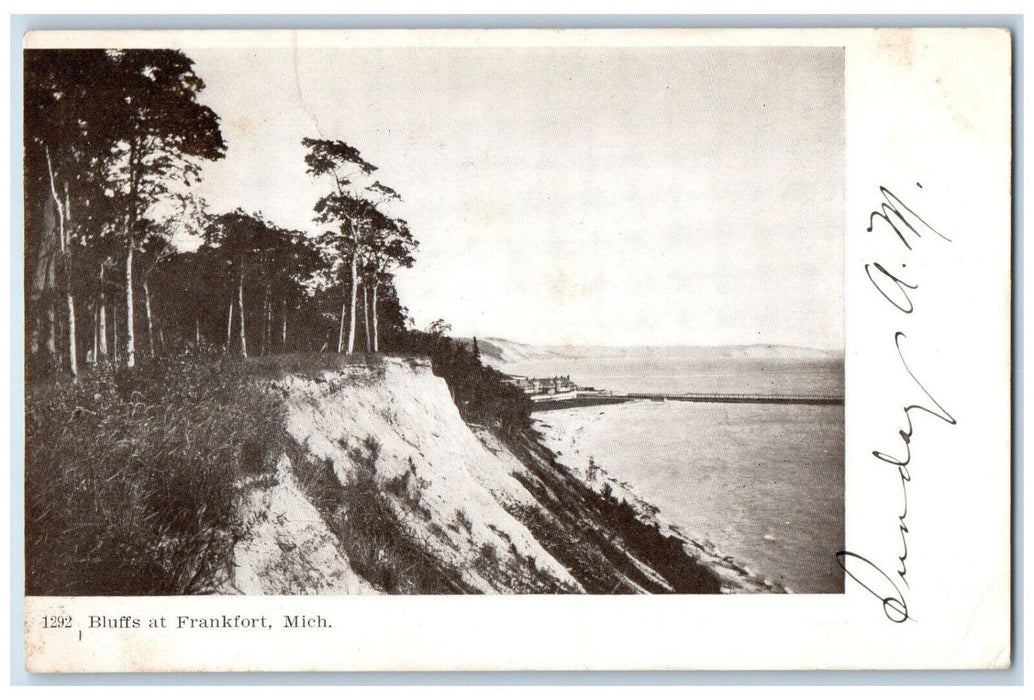 View Of Bluffs Trees  At Frankfort Michigan MI RPO Antique Posted Postcard
