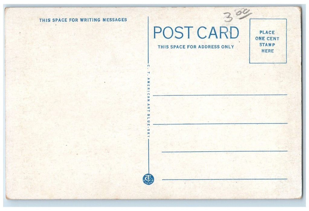 c1920's High School Greenville Michigan MI Unposted Antique Postcard