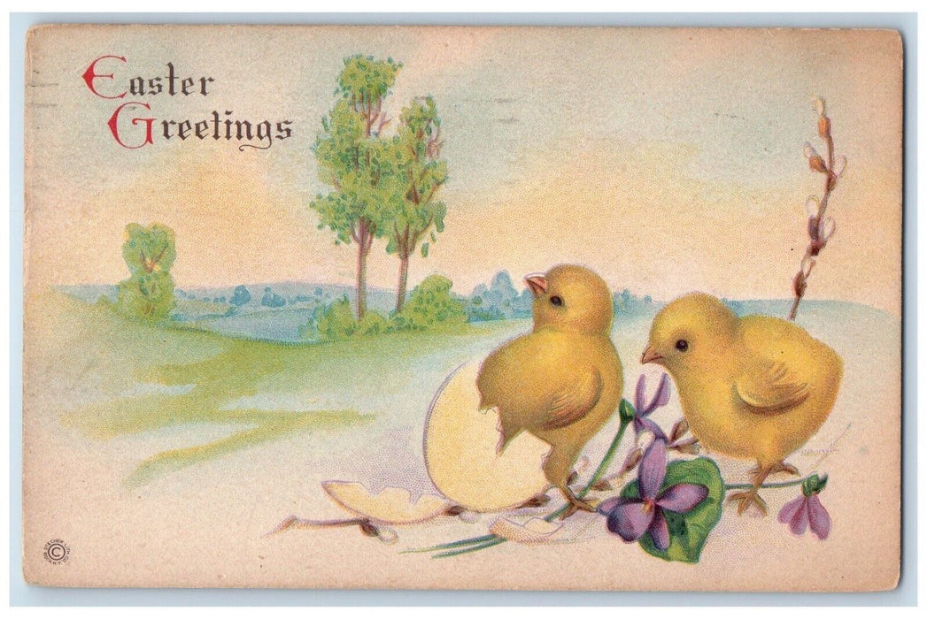 1923 Easter Greetings Hatched Egg Chicks Flowers Arlington NJ Vintage Postcard