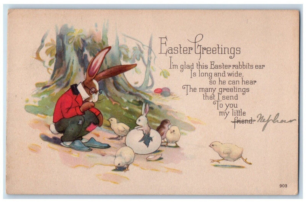 Easter Greetings Anthropomorphic Rabbit Hatched Egg Chicks Drumore PA Postcard