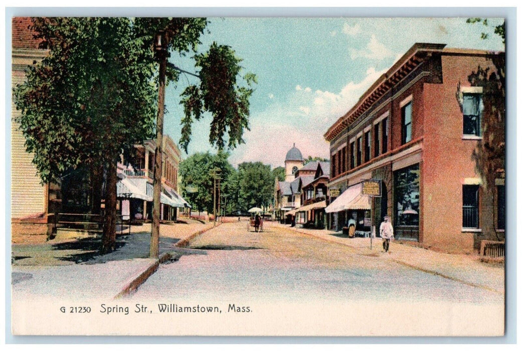 c1905 Scenic View Spring Street Road Williamstown Massachusetts Vintage Postcard