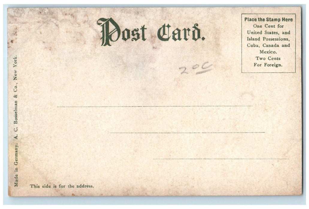 c1905 Steamer Illinois Leaving Harbor Cruise Ship Frankport Michigan MI Postcard