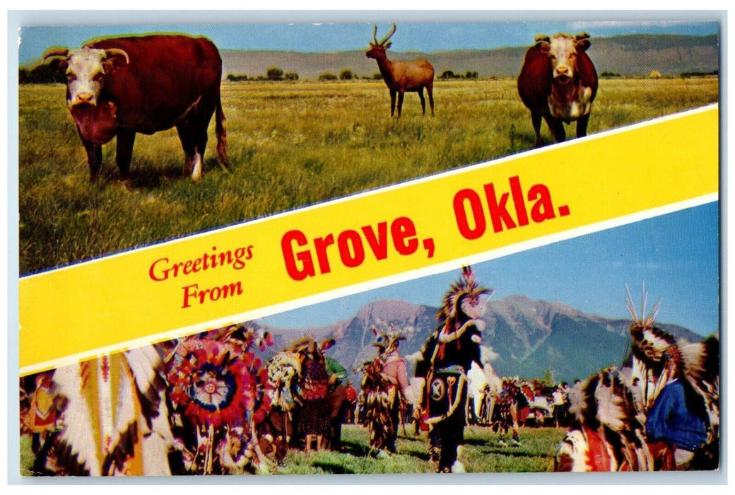 c1960 Greetings From Grove Deer Native American Banner Oklahoma Vintage Postcard