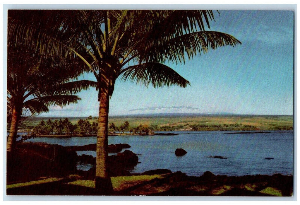 c1960 Hilo Harbor East Coast Hawaiian Island Pine Trees Honolulu Hawaii Postcard
