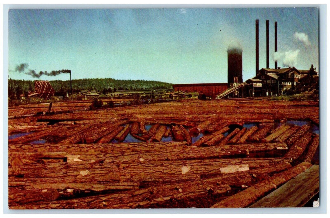 c1960 Lumbering Northwest General Stimulant Logging Union Oil Companys Postcard