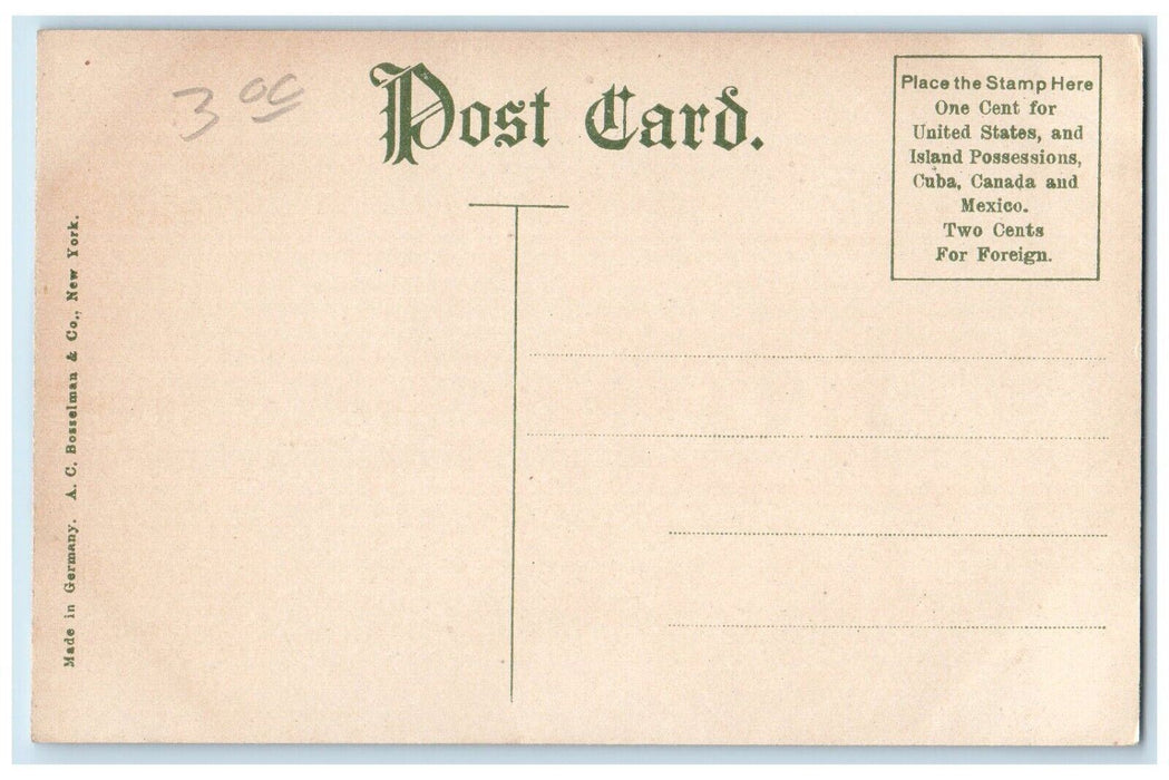 c1910 North Park and G.R. Boat and Canoe Club Building Grand Rapids MI Postcard