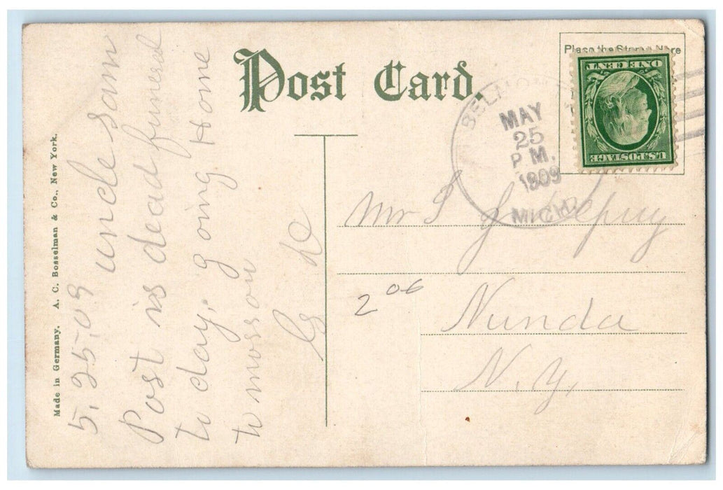 1909 John Ball Park Grand Rapids Michigan MI Belmont MI Antique Posted Postcard