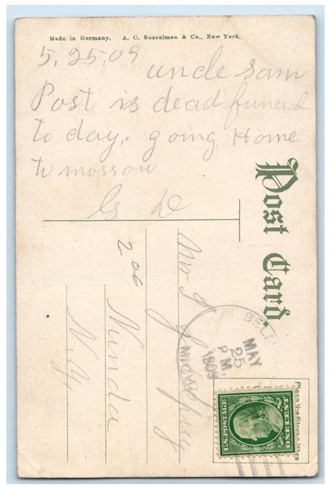 1909 John Ball Park Grand Rapids Michigan MI Belmont MI Antique Posted Postcard