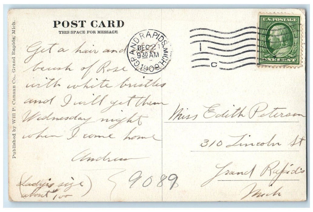 1909 North Park Pavilion Grand Rapids Michigan MI Antique Posted Postcard
