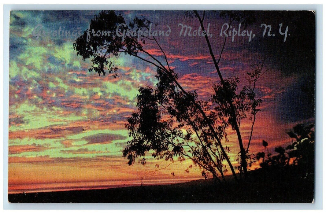 1960 Greetings Grapeland Motel Ripley New York Sun Hath Golden Set Poem Postcard