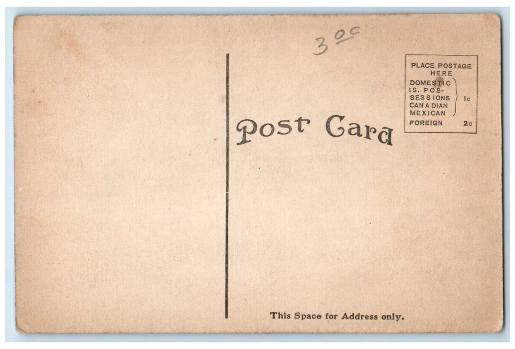 1910 Exterior View Grammar School Building St Louis Michigan MI Antique Postcard