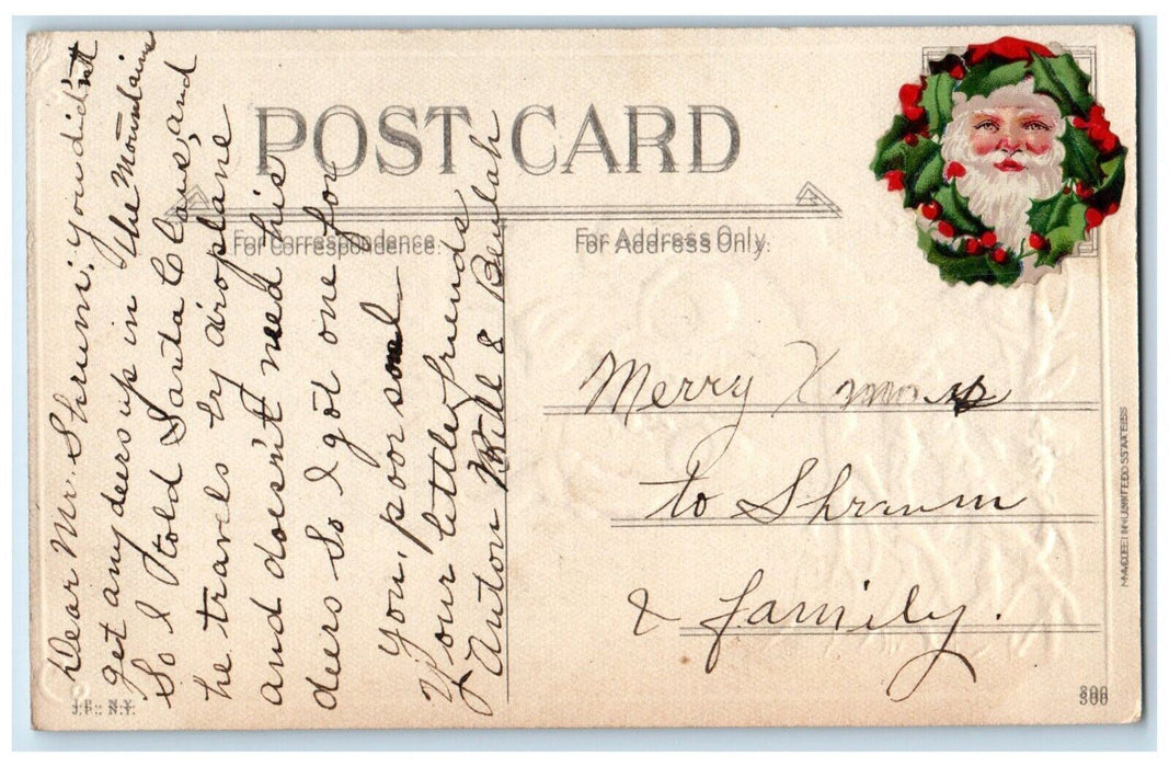 c1910's Christmas Greetings Children Birds Holly Berries Winter Posted Postcard