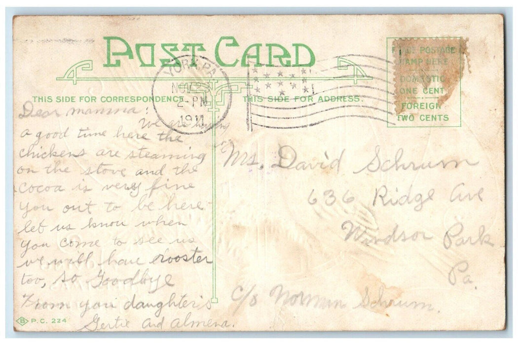 1911 Christmas Greetings Song Birds Embossed York Pennsylvania PA Postcard