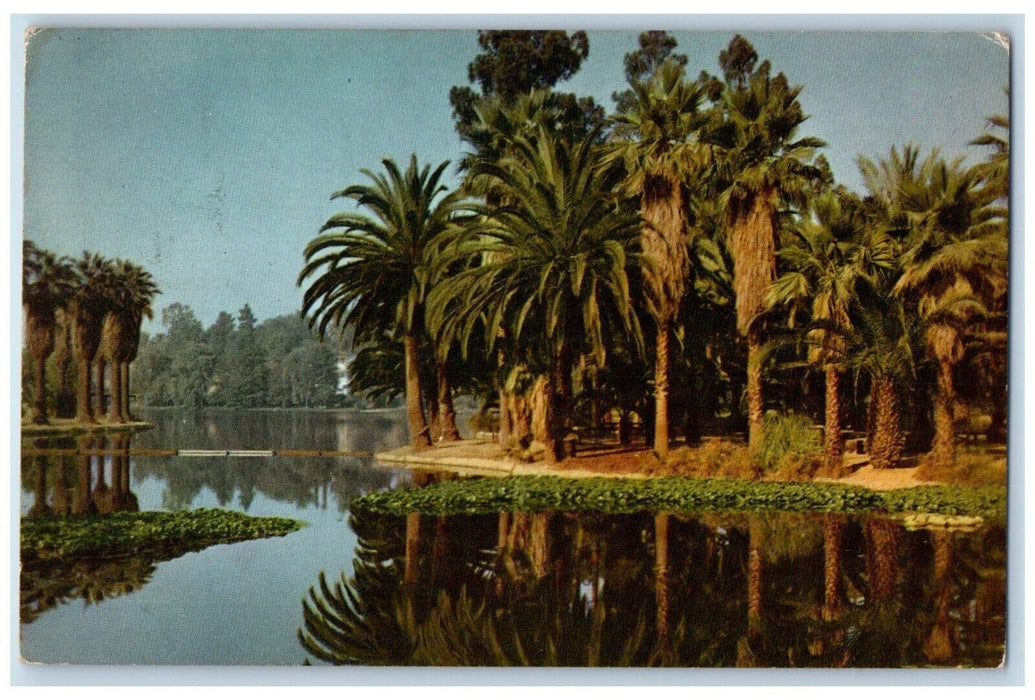 c1960 Union Oil Company's Echo Park Pine Trees Los Angeles California Postcard