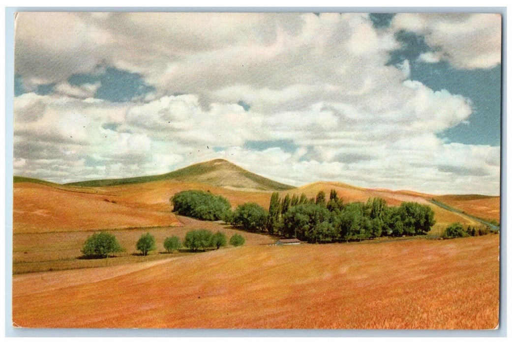 c1960 Union Oil Company's Steptoe Butte Palouse Spokane Washington WA Postcard