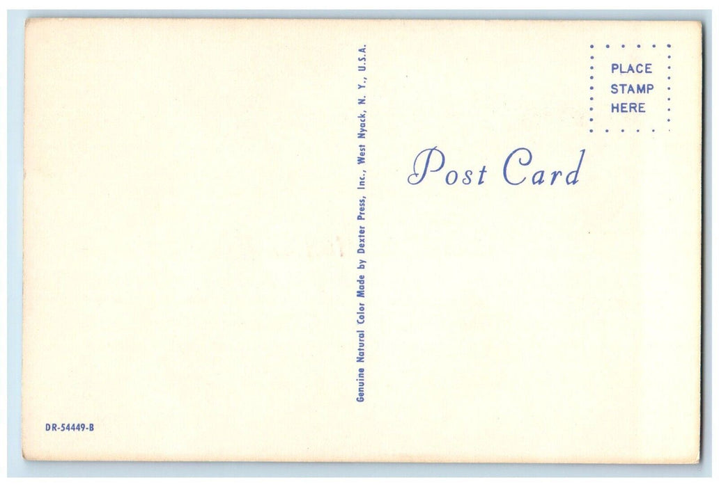1960 Greetings From Milford Horse Multiview Cowgirl Equestrian Michigan Postcard