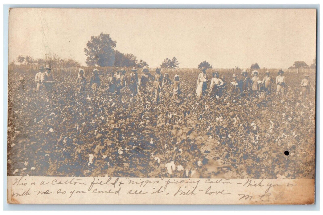 1905 Cotton Picking Field Black Americana Tuscaloosa AL RPPC Photo Postcard