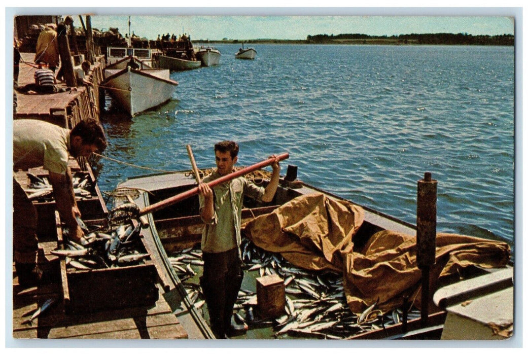 1965 Rustico Harbour Prince Edward Island Canada Vintage Posted Postcard