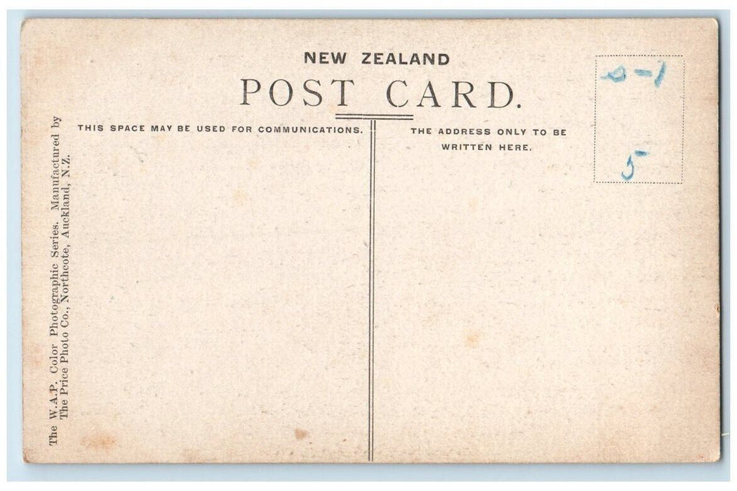 c1907 Welcoming Great White Fleet Navy Auckland New Zealand RPPC Photo Postcard