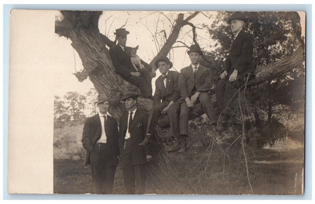 Candid Young Kids Men Goofing Around Terrier Dog Illinois IL RPPC Photo Postcard