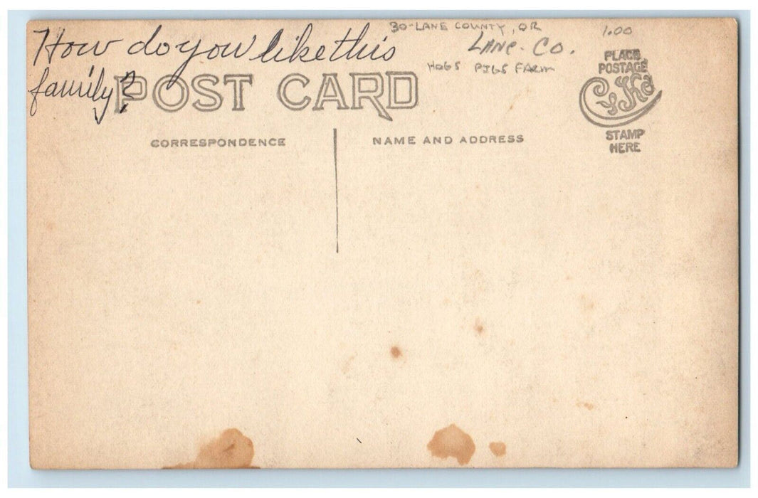 c1910's Hogs Pigs Farm Lane County Oregon OR Antique RPPC Photo Postcard