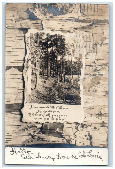 1906 Woods Windsor Pond North Adams Massachusetts MA Antique RPPC Photo Postcard