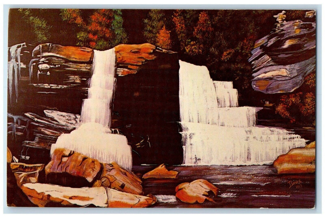 c1940 Blackwater Falls Bill Davis River Lake Cliff Davis West Virginia Postcard