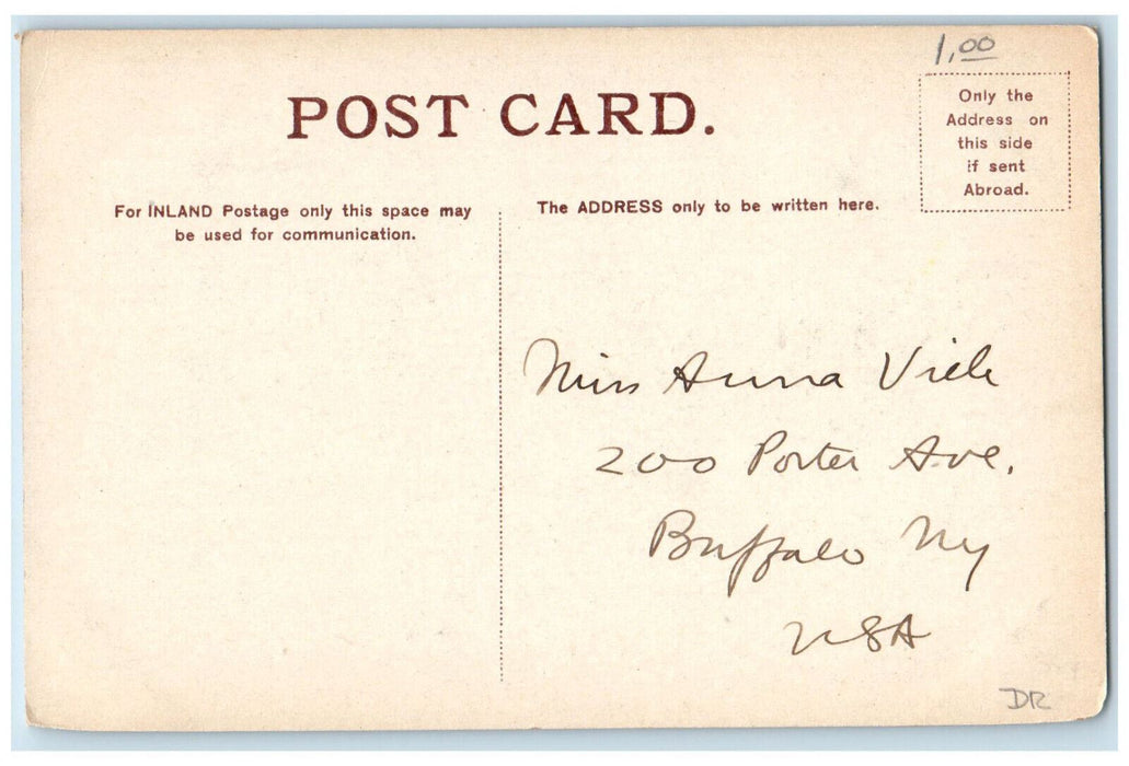 c1920's Chaudiere Falls Ottawa Ontario Canada Montreal Import Co. Postcard