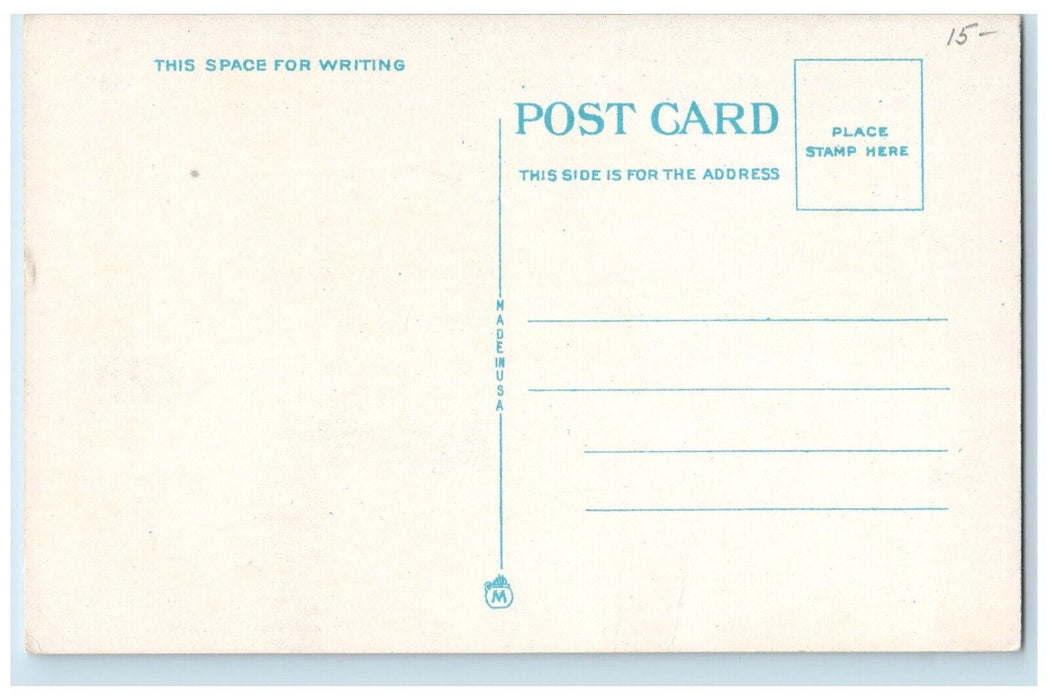 c1930's Steamer Americana to Crystal Beach Canada Vintage Unposted Postcard