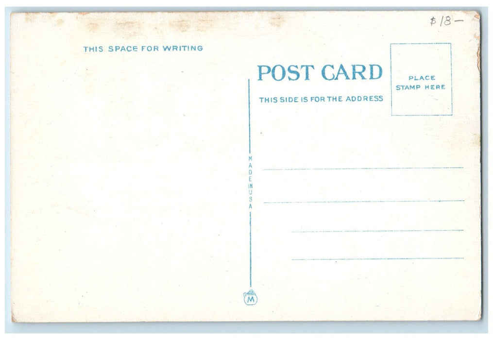 c1930's Steamer Landing New Pier Crystal Beach Canada Vintage Unposted Postcard