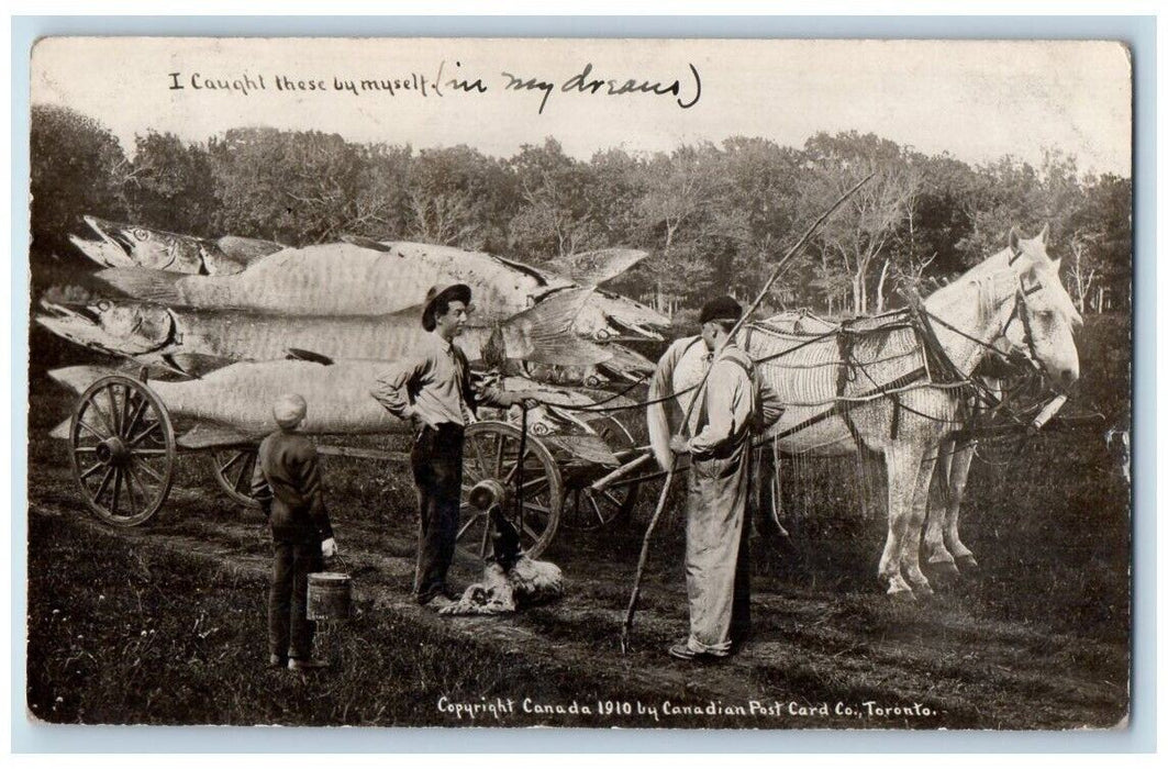 1911 Exaggerated Fish Horse Wagon Grand Rapids Michigan MI RPPC Photo Postcard