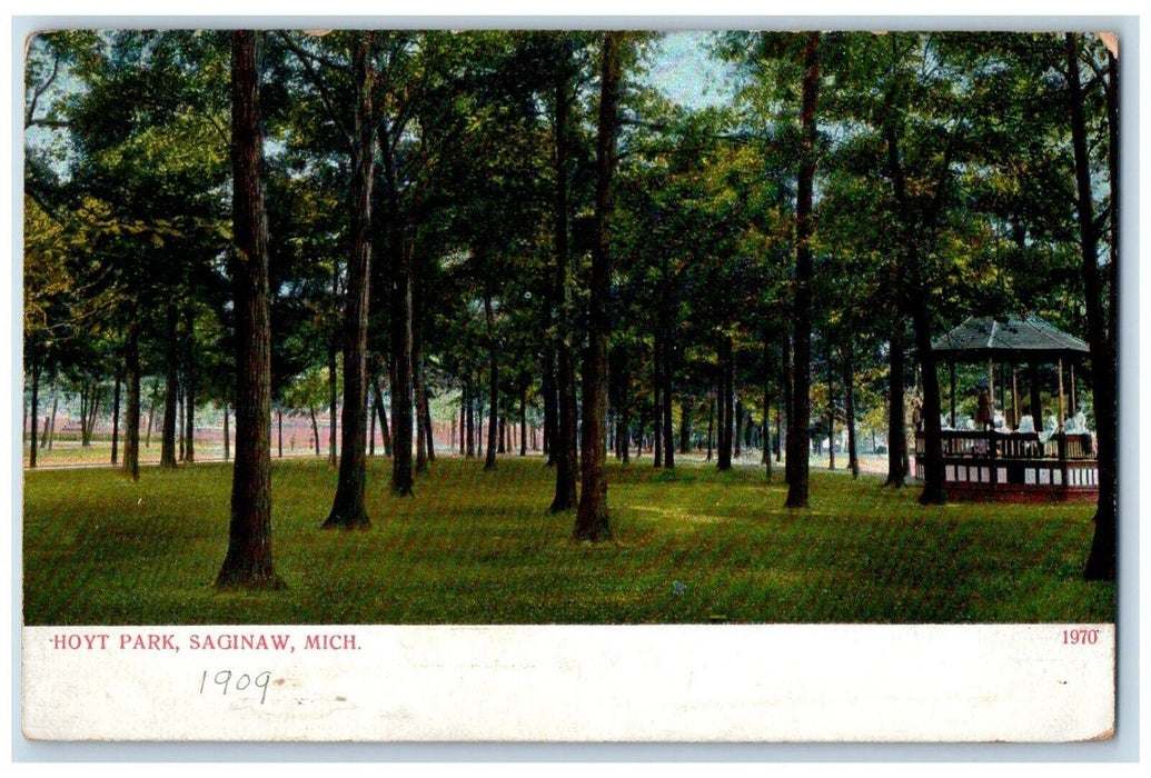 1909 Scenic View Hoyt Park Trees Saginaw Michigan MI Antique Vintage Postcard