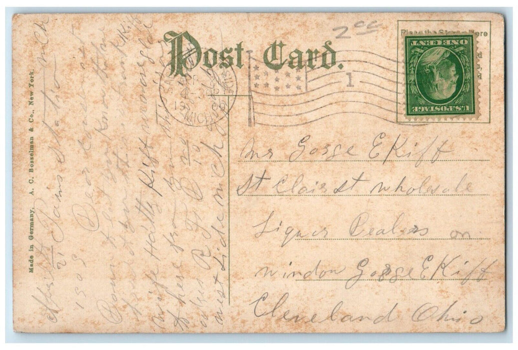1909 Scenic View Hoyt Park Trees Saginaw Michigan MI Antique Vintage Postcard