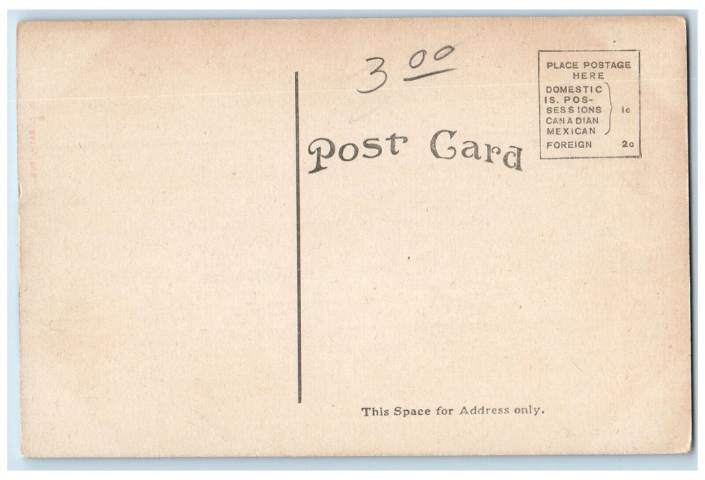 High School Building Trees Exterior Scene Evart Michigan MI Antique Postcard