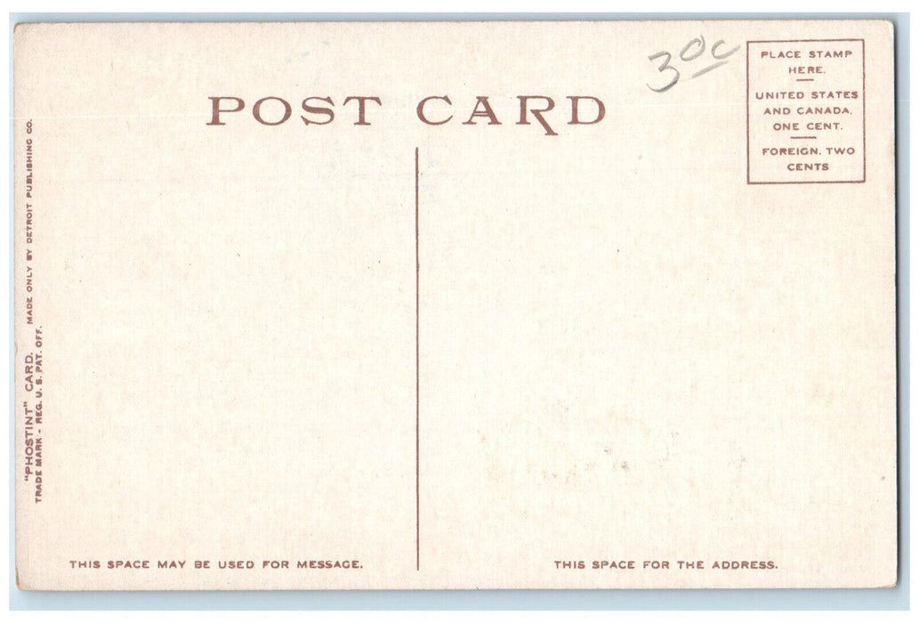 View Of Steamers Ship Off Belle Isle Light Michigan MI Antique Phostint Postcard