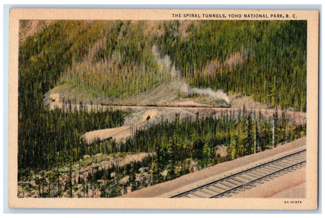 c1940's The Spiral Tunnels Yoho National Park British Columbia Canada Postcard