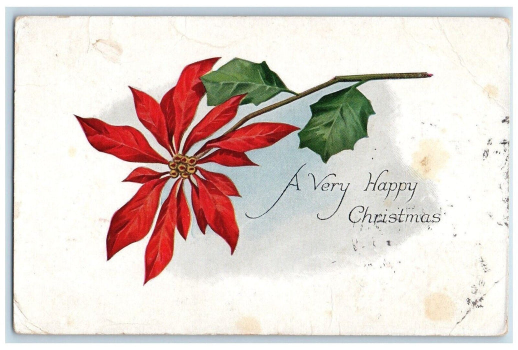 1917 Christmas Poinsettia Flower Sisseton South Dakota SD Antique Postcard