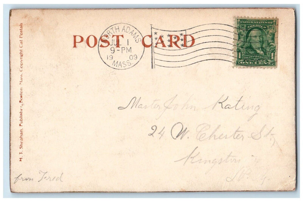 1909 Cat Kitten In Basket North Adams Massachusetts MA Posted Antique Postcard