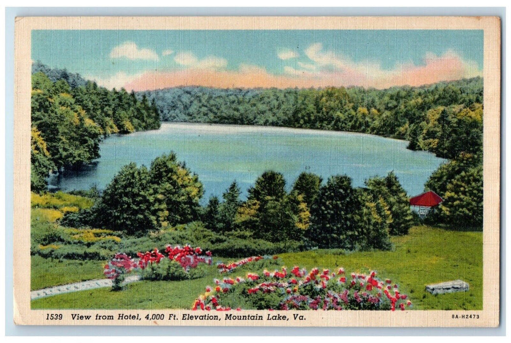 1953 Scenic View From Hotel Elevation Mountain Lake Virginia VA Vintage Postcard