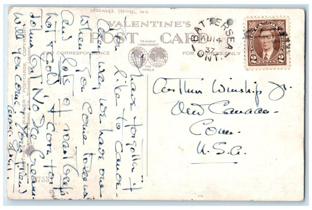 1937 Best Of Pals Springer Spaniel Dog Battersea Ontario Canada Vintage Postcard