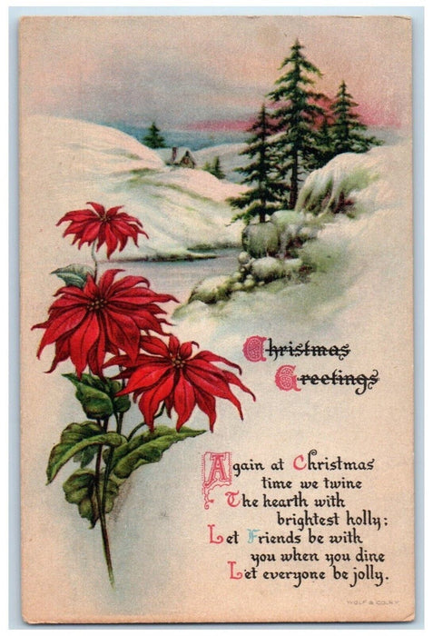 c1910's Christmas Greetings Poinsettia Flowers Winter Wolf Antique Postcard