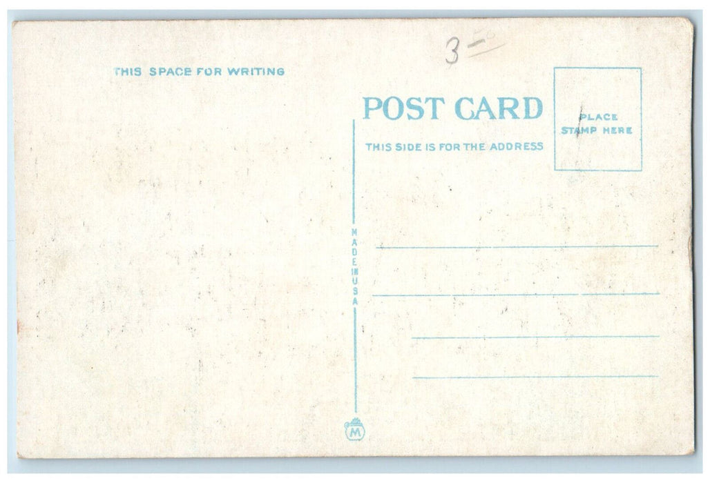 c1920's Steamer Americana Crystal Beach Ontario Canada Antique Postcard