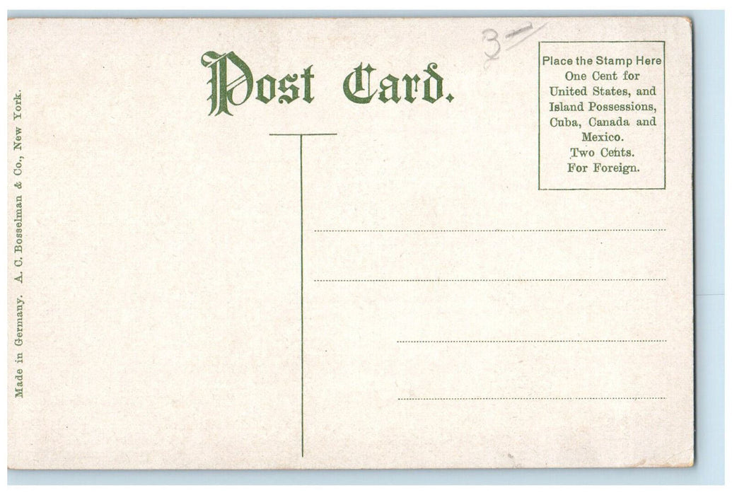 c1910 Steamer Americana Crystal Beach Line Ontario Canada Unposted Postcard