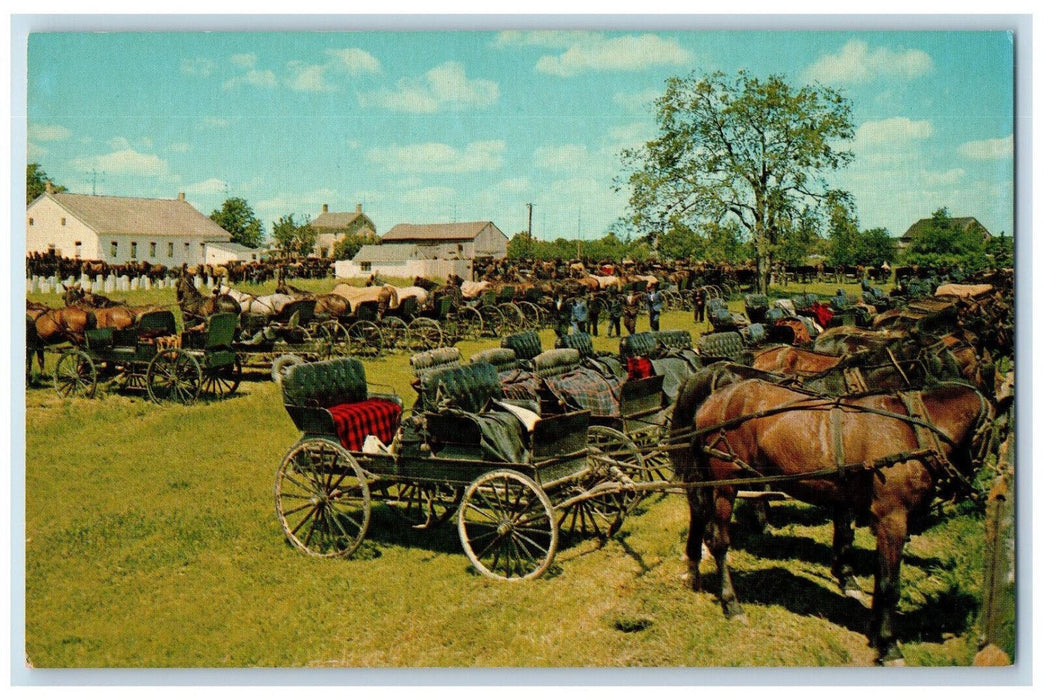 c1960s Horses Mennonite Meeting House Kitchener Waterloo Ontario Canada Postcard