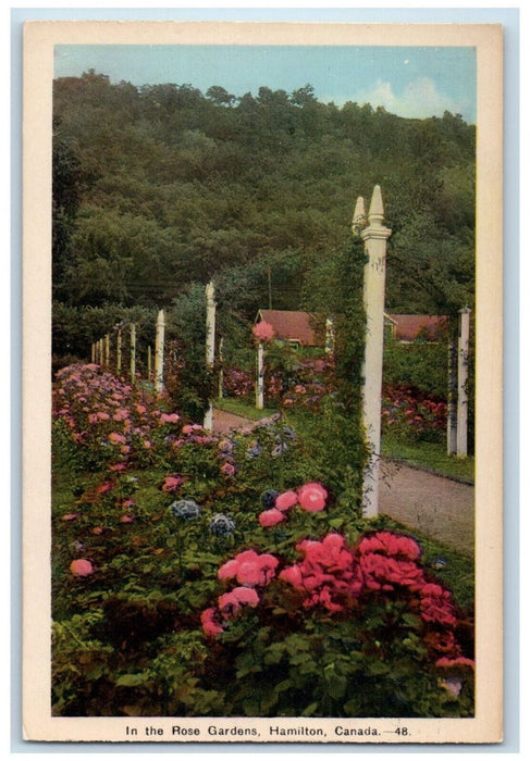 c1950's In The Rose Gardens Hamilton Ontario Canada Vintage Postcard