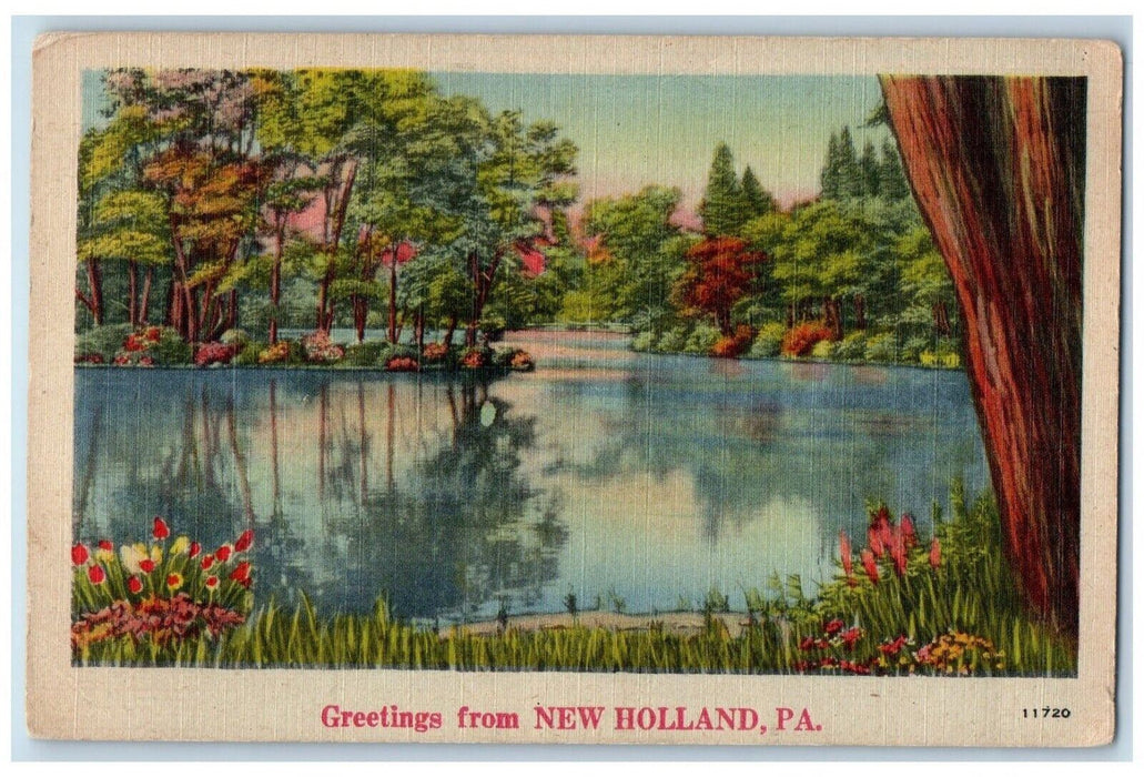 c1940 Greetings From New Holland River Lake Flower Pennsylvania Vintage Postcard