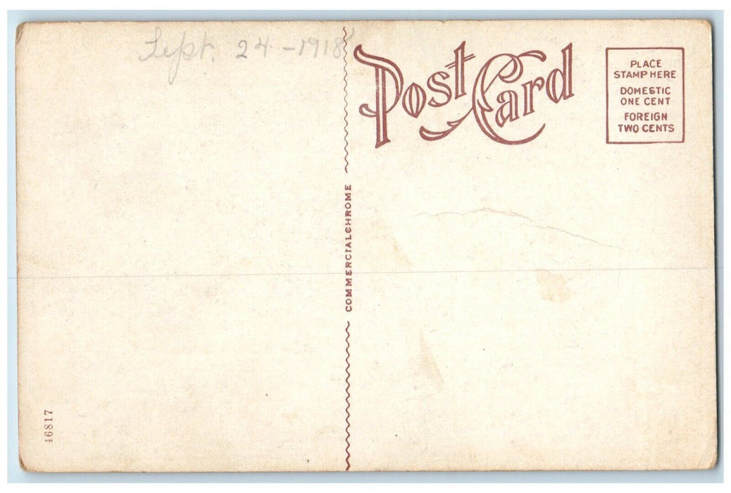 1910 Public Schools Building Multi-View Oelwein Iowa IA Vintage Antique Postcard