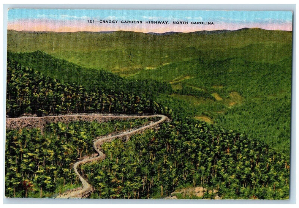 c1940 Craggy Gardens Climbing Slopes Highway Asheville North Carolina Postcard